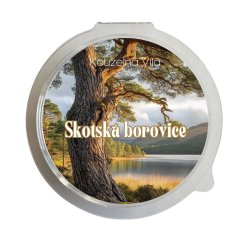 Skotská borovice
