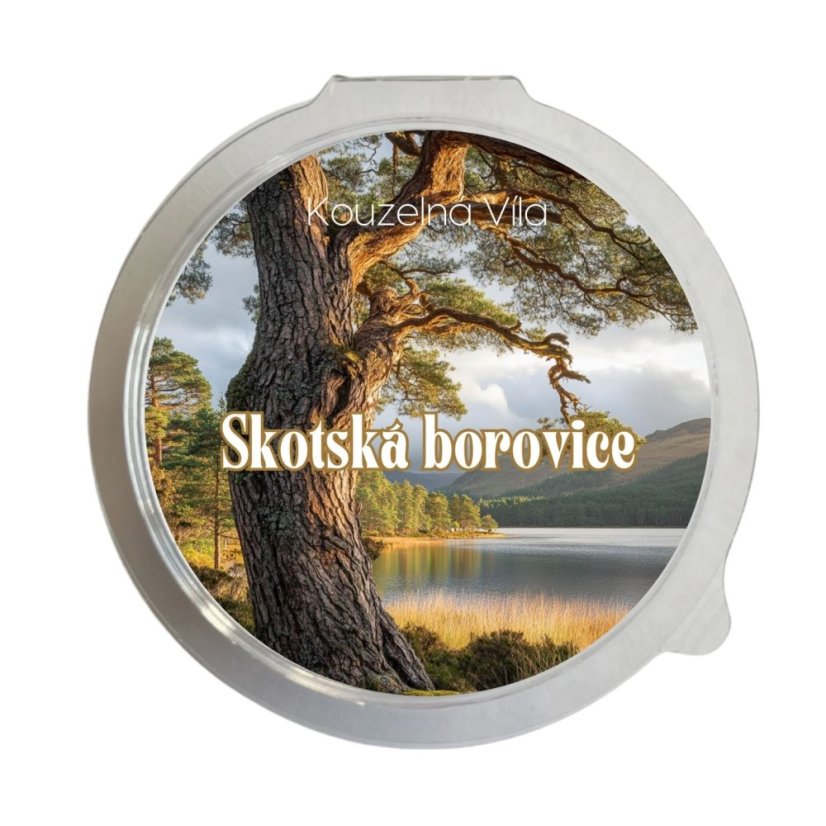 Skotská borovice